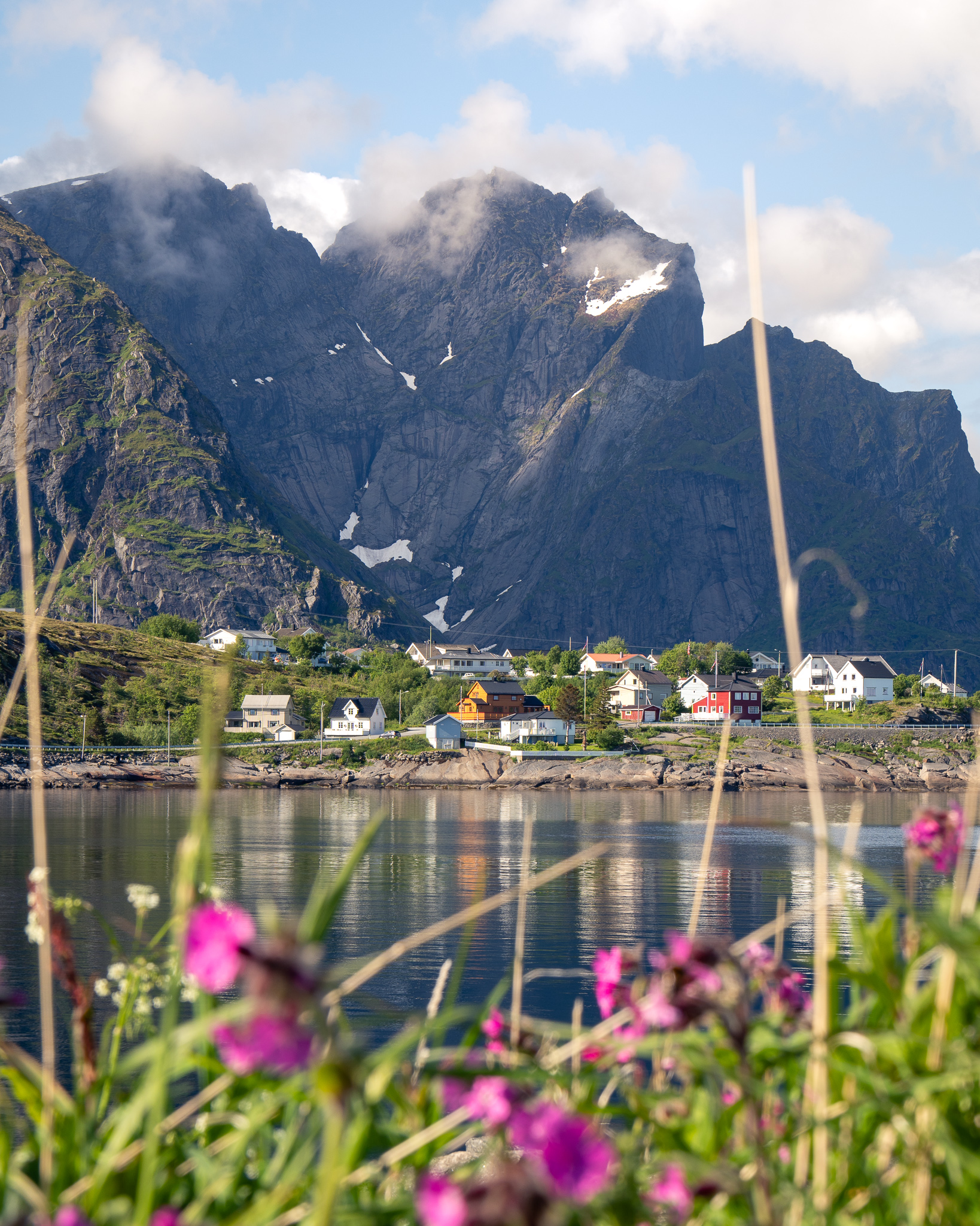 Vistas de Reine con flores en verano en las Islas Lofoten