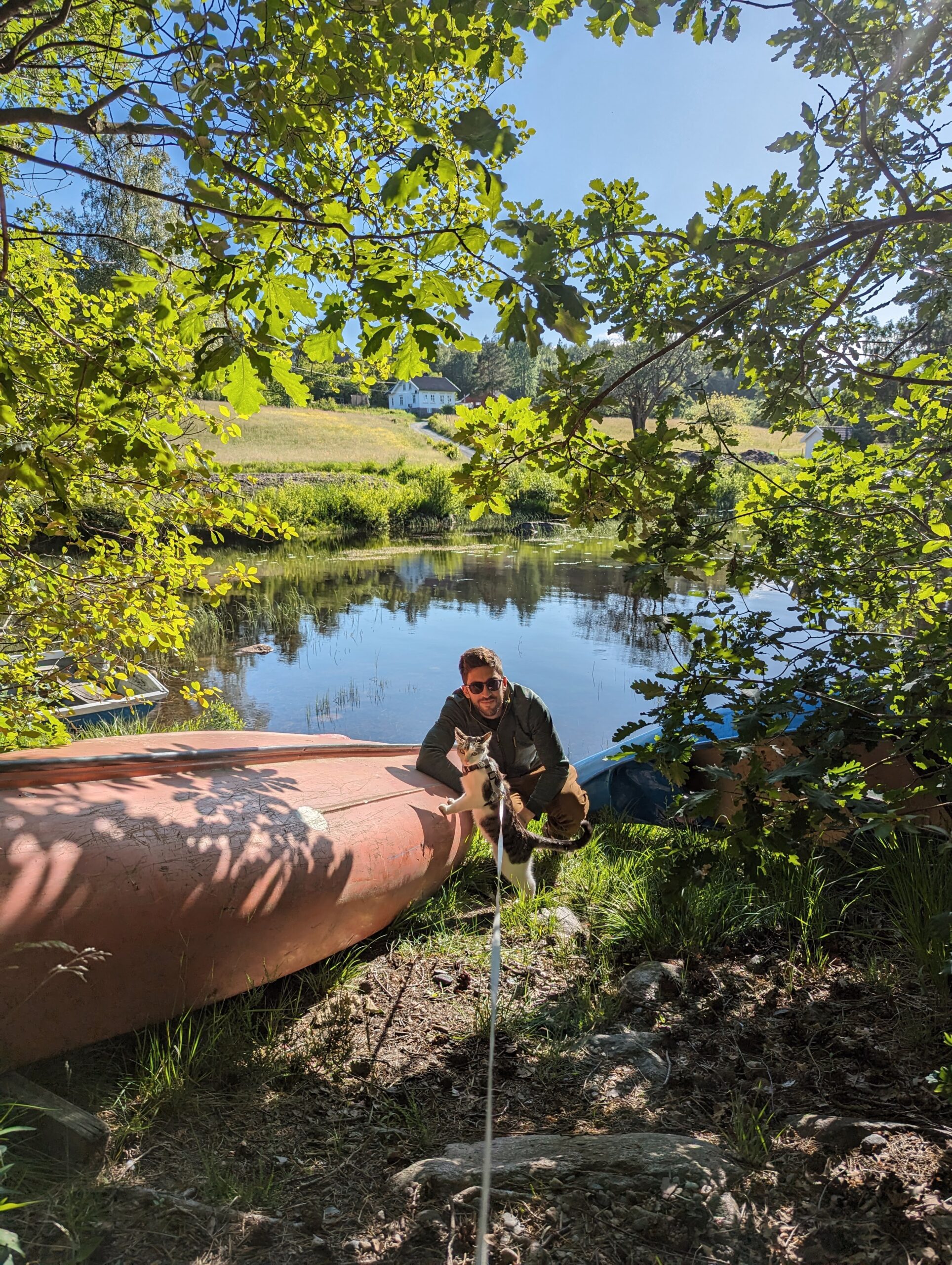 Gato sobre una canoa en Noruega