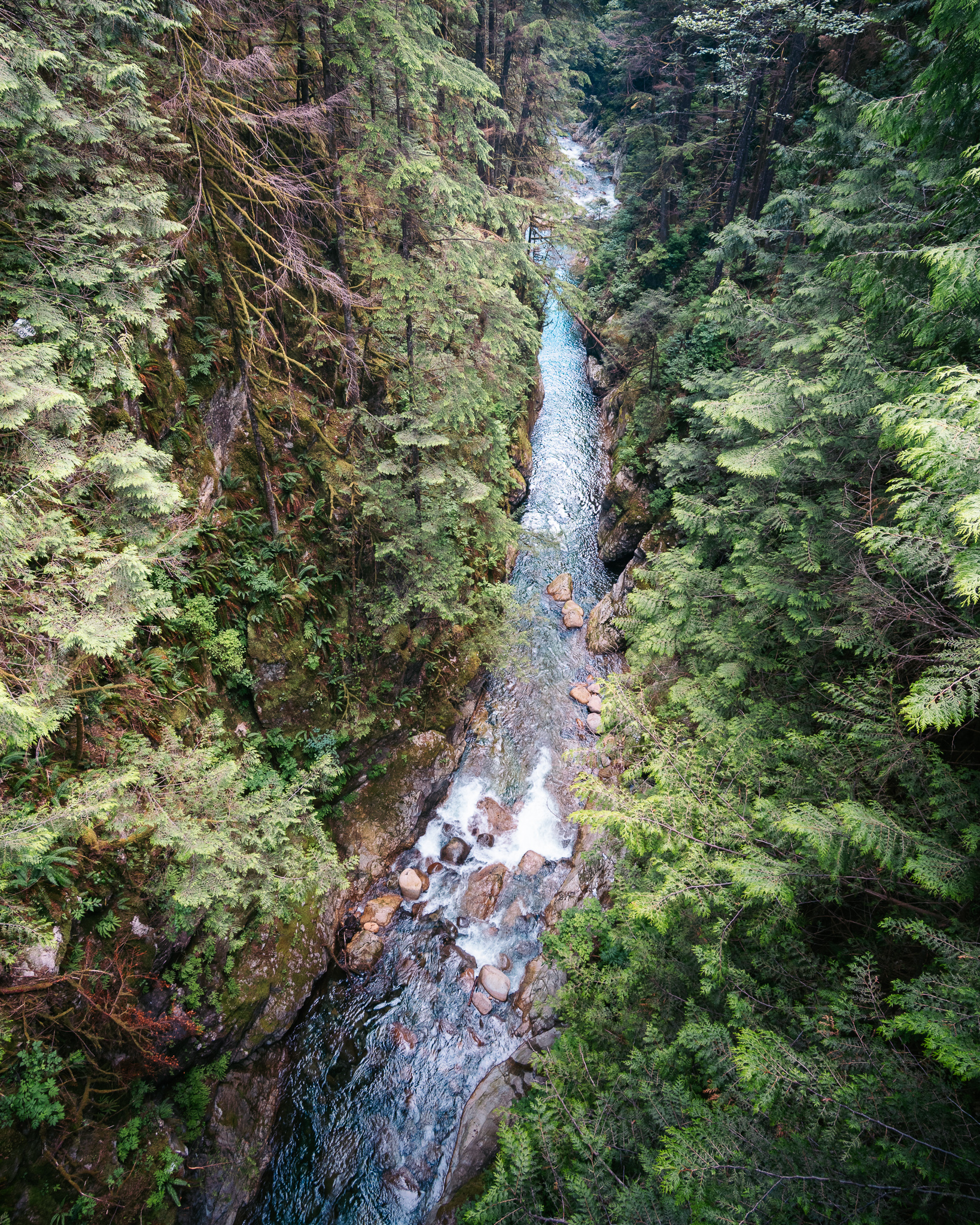 Lynn Canyon Park, Norte de Vancouver, en la Columbia Británica, Canadá