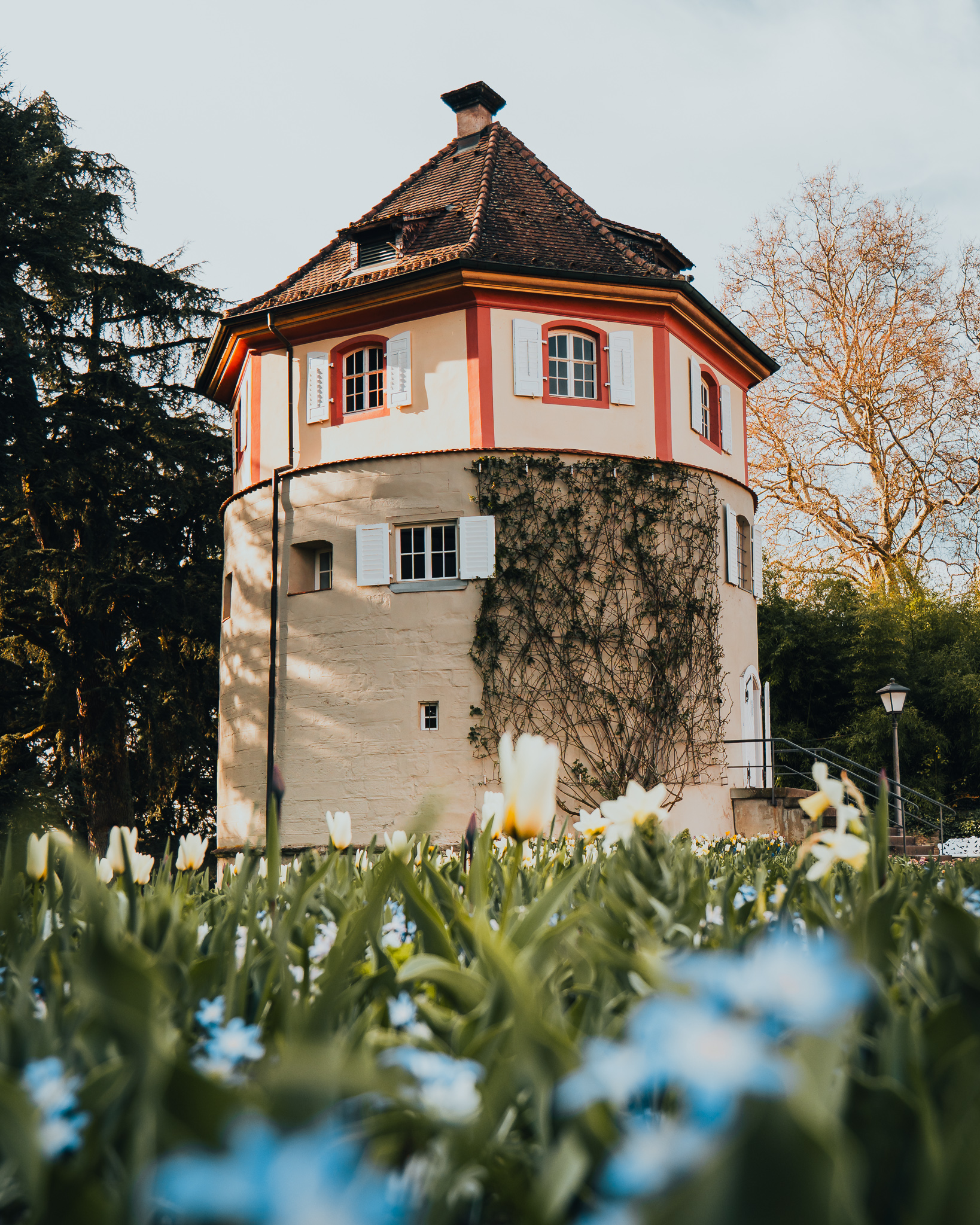 Isla de Mainau en Constanza