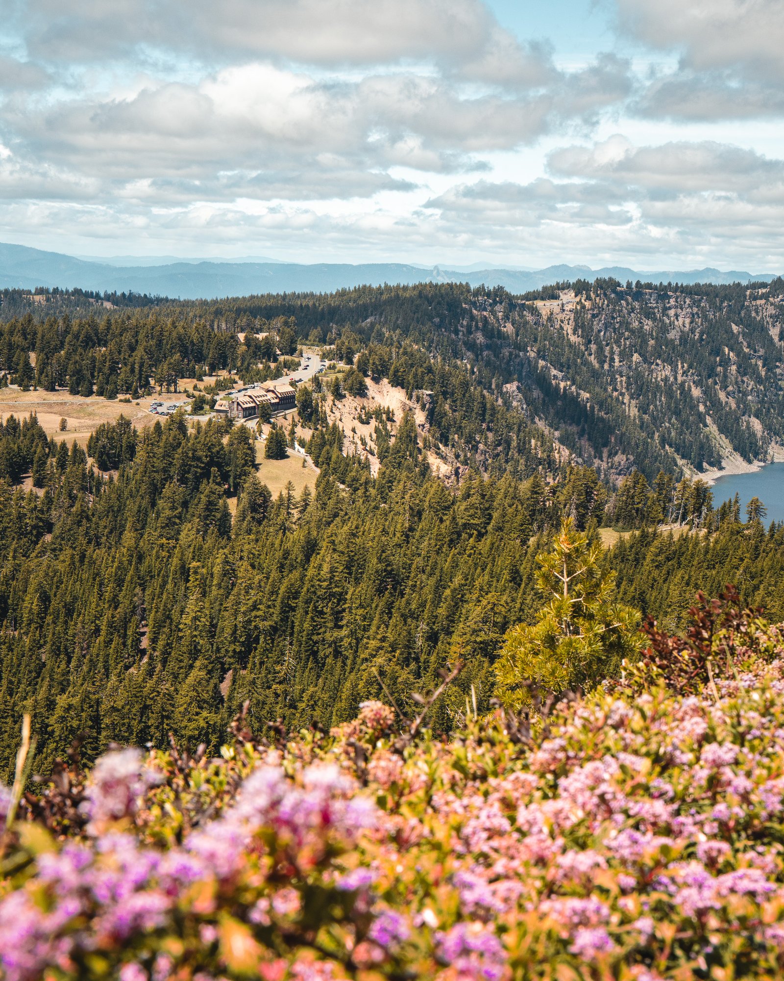 Flores alpinas en Crater Lake durante el mes de junio