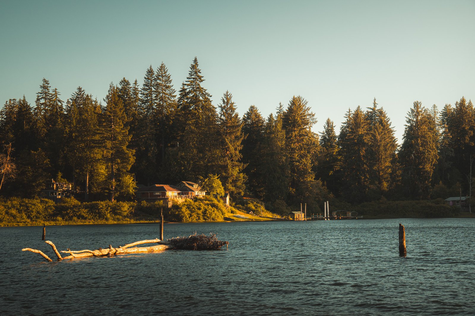 Lake Quinault al atardecer