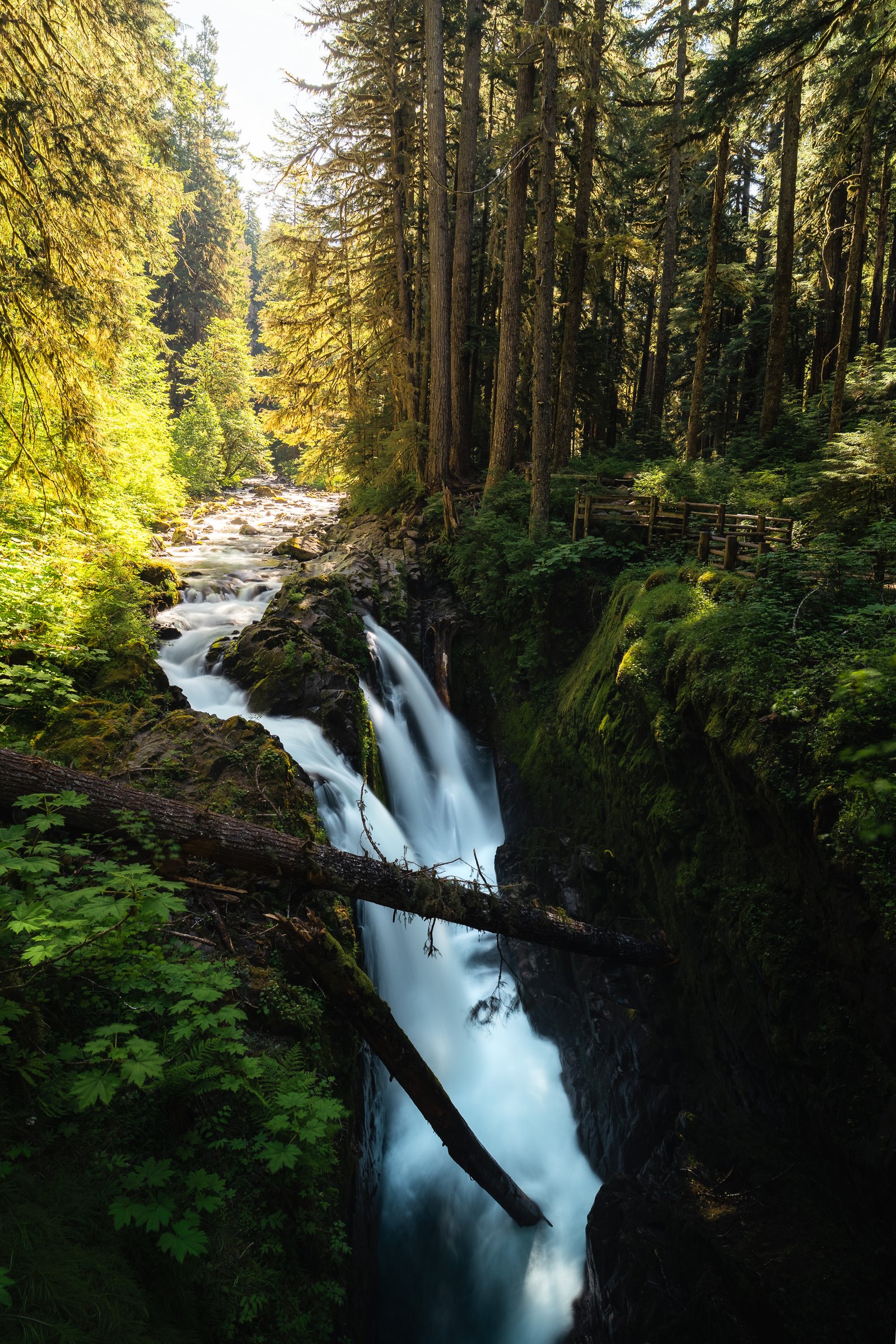 Sol Duc Falls rodeada de bosque