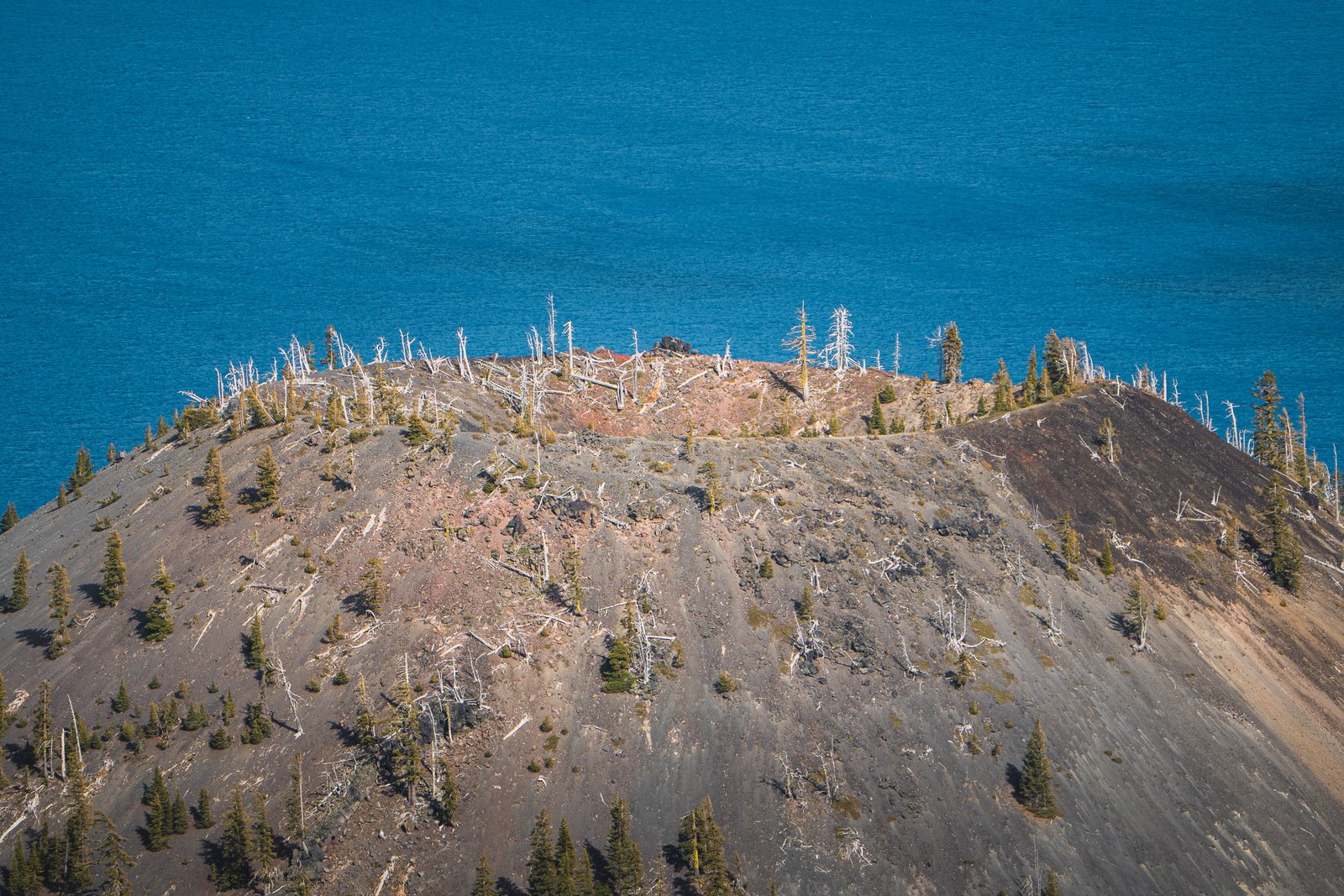 Vista de Wizard Island y su cono volcánico en Crater Lake